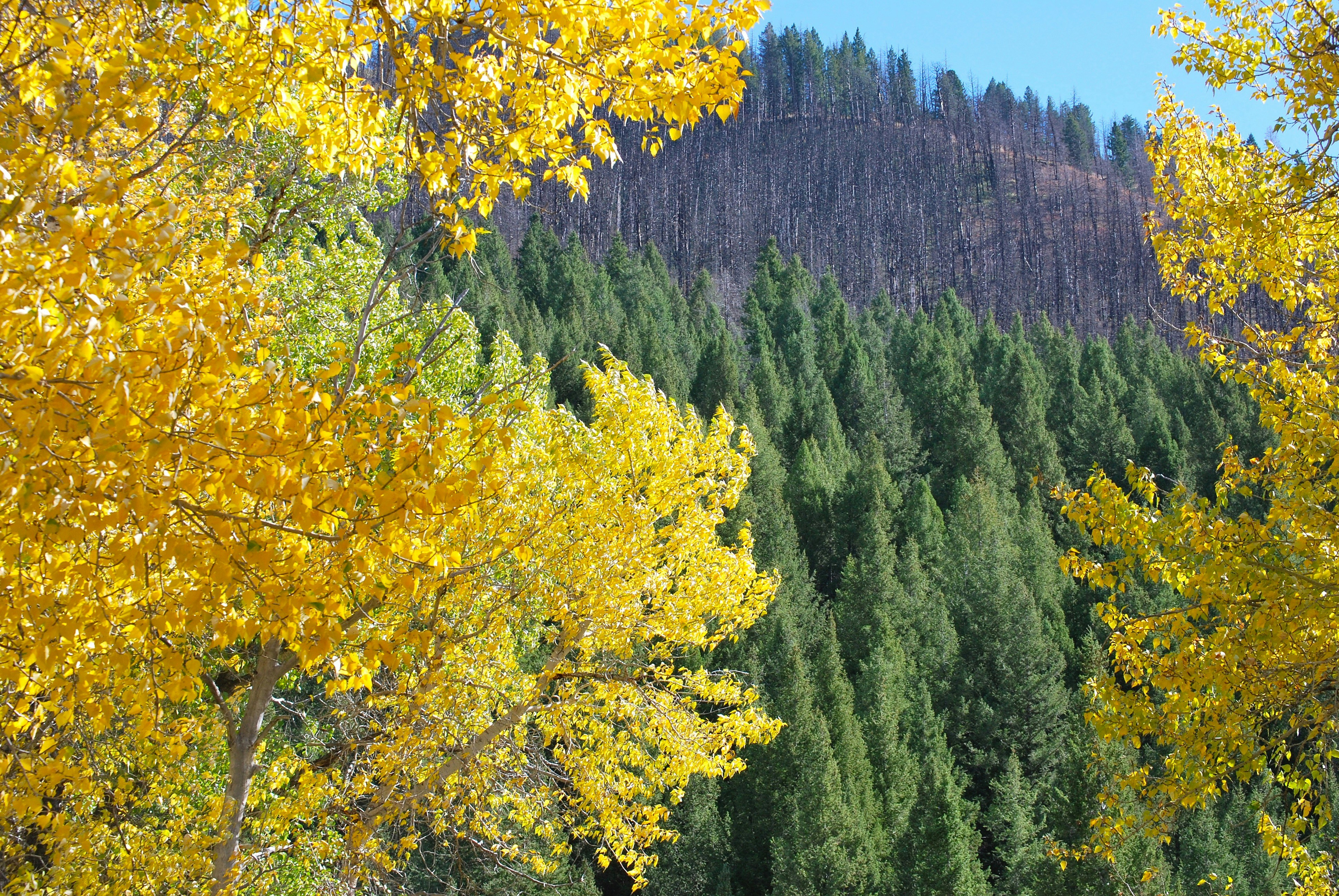 Photo by tonitisdale