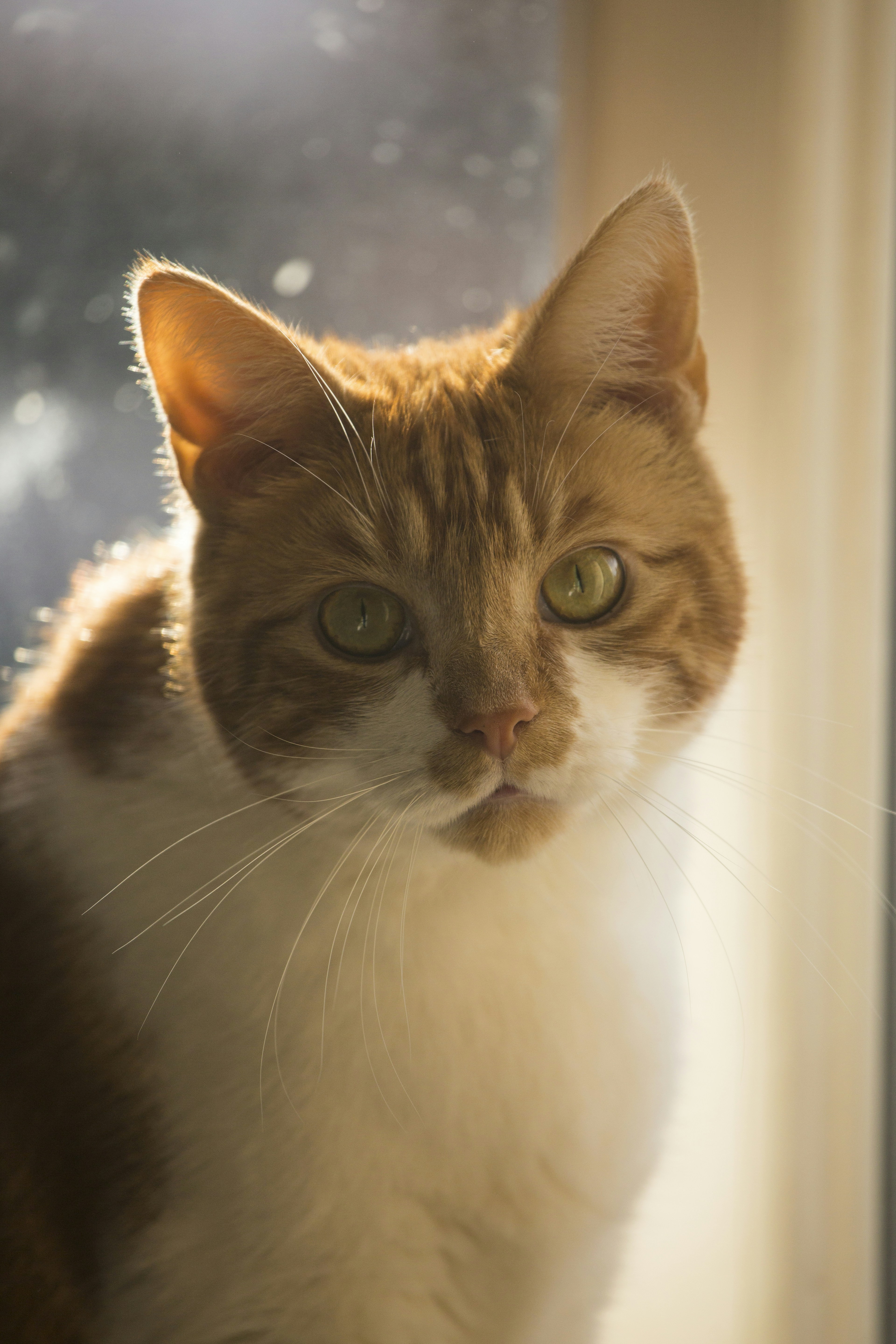 Photo by ditakesphotos