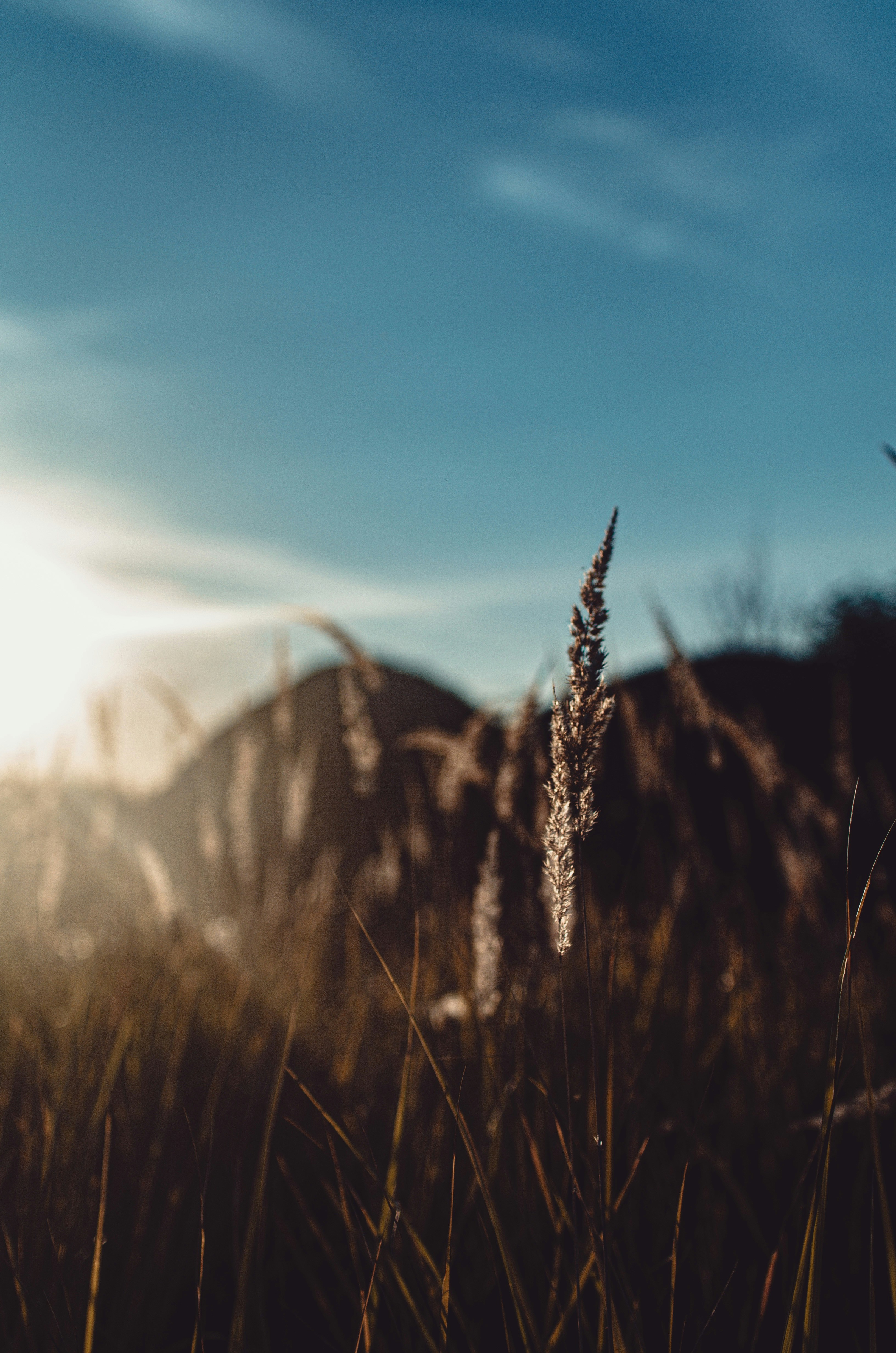 Photo by gamanalice3012