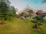 A serene landscape symbolizing peace and diplomacy.