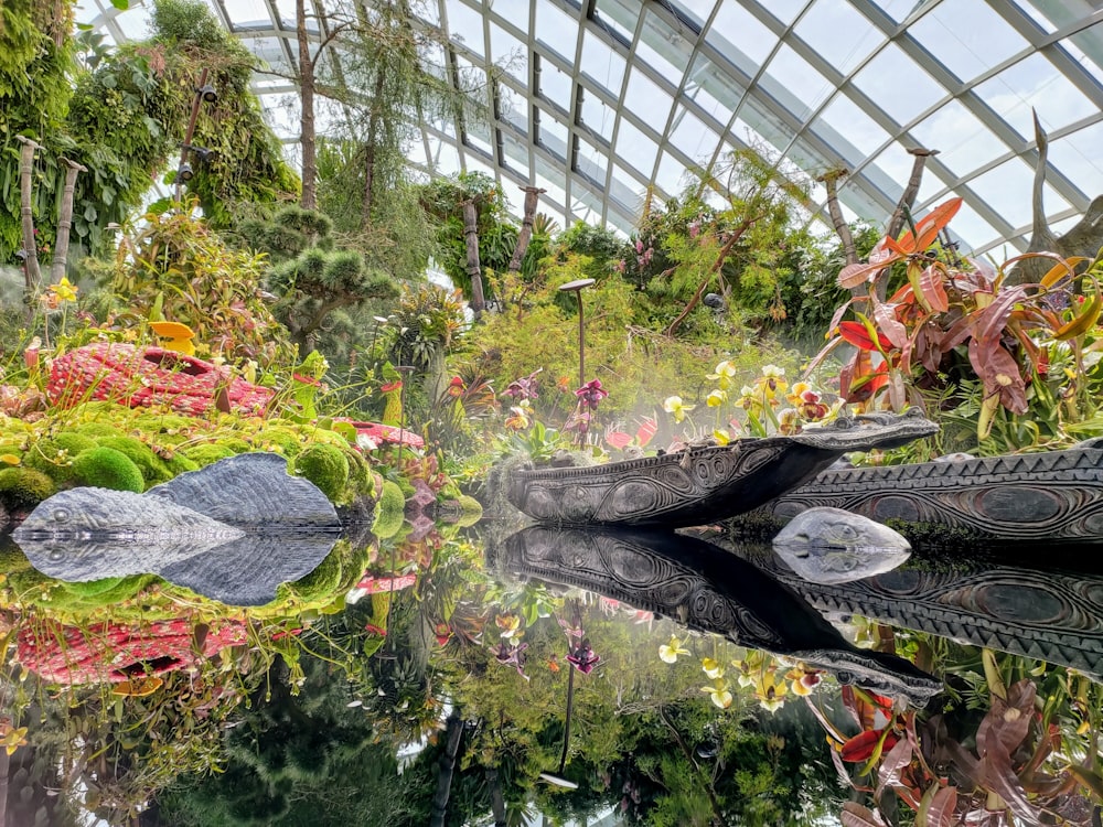 green plants and trees in pond