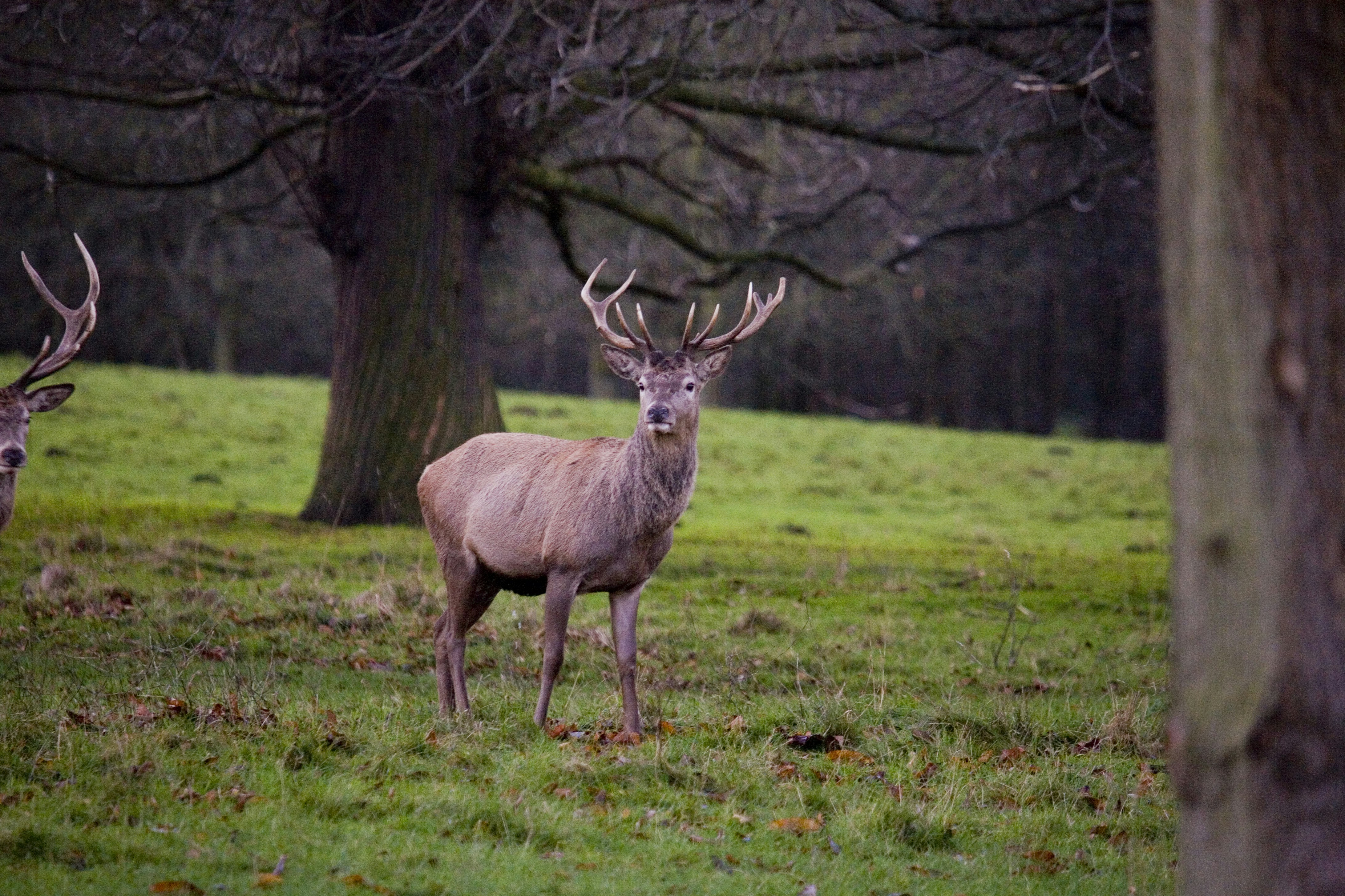 Photo by ditakesphotos