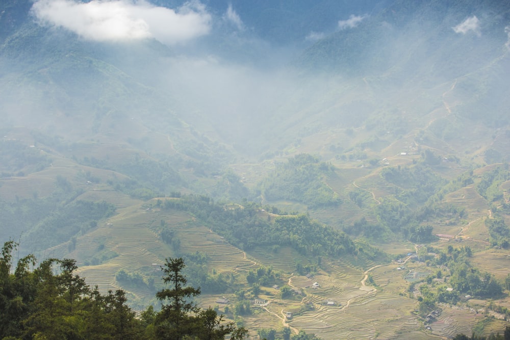 green trees on mountain under white clouds during daytime