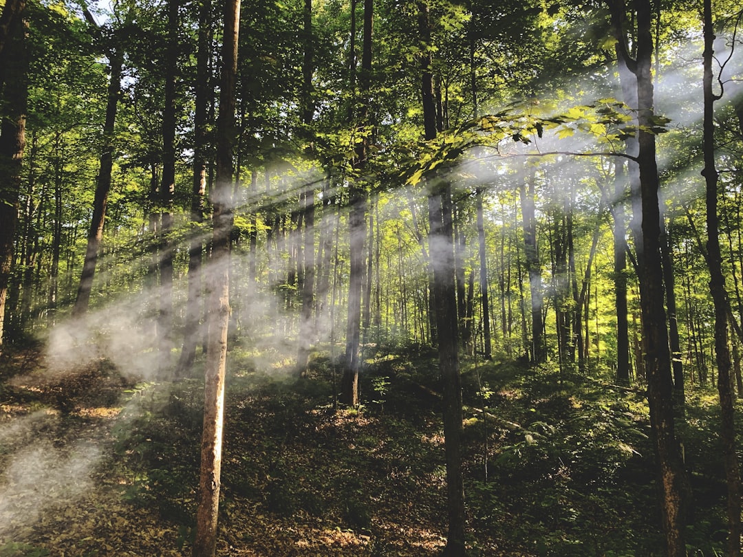 Unplug and Unwind: Keeping Your Vacation Tech-Free and Stress-Free… — Unplug and Unwind