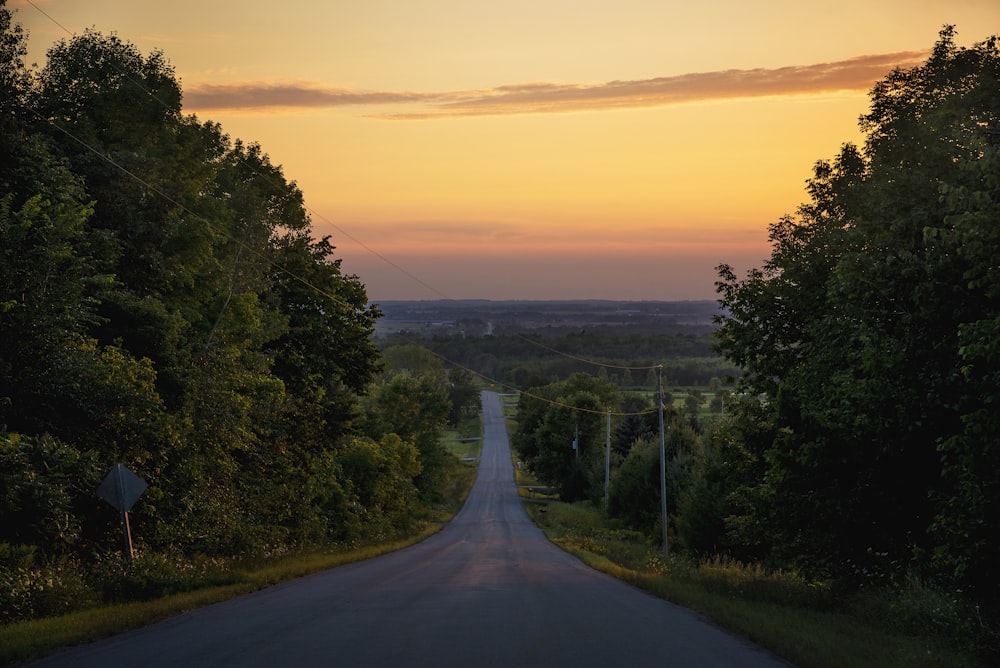 gray concrete road between green trees during sunset