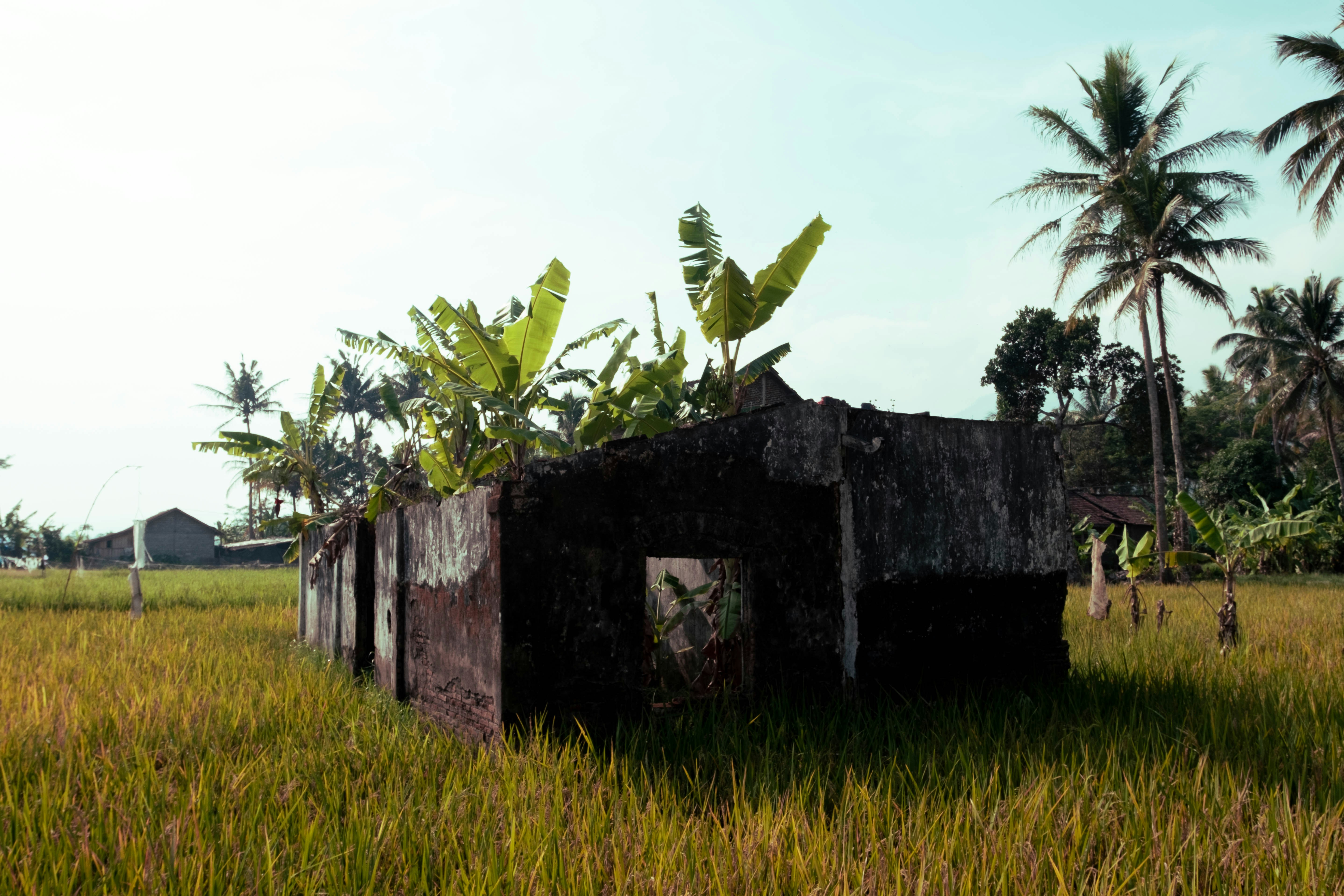 Indonesian historical battlefield wallpaper, wallpaper, Film Perang Banjar di Singasari: Mitos, Sejarah, dan Analisis Budaya 6