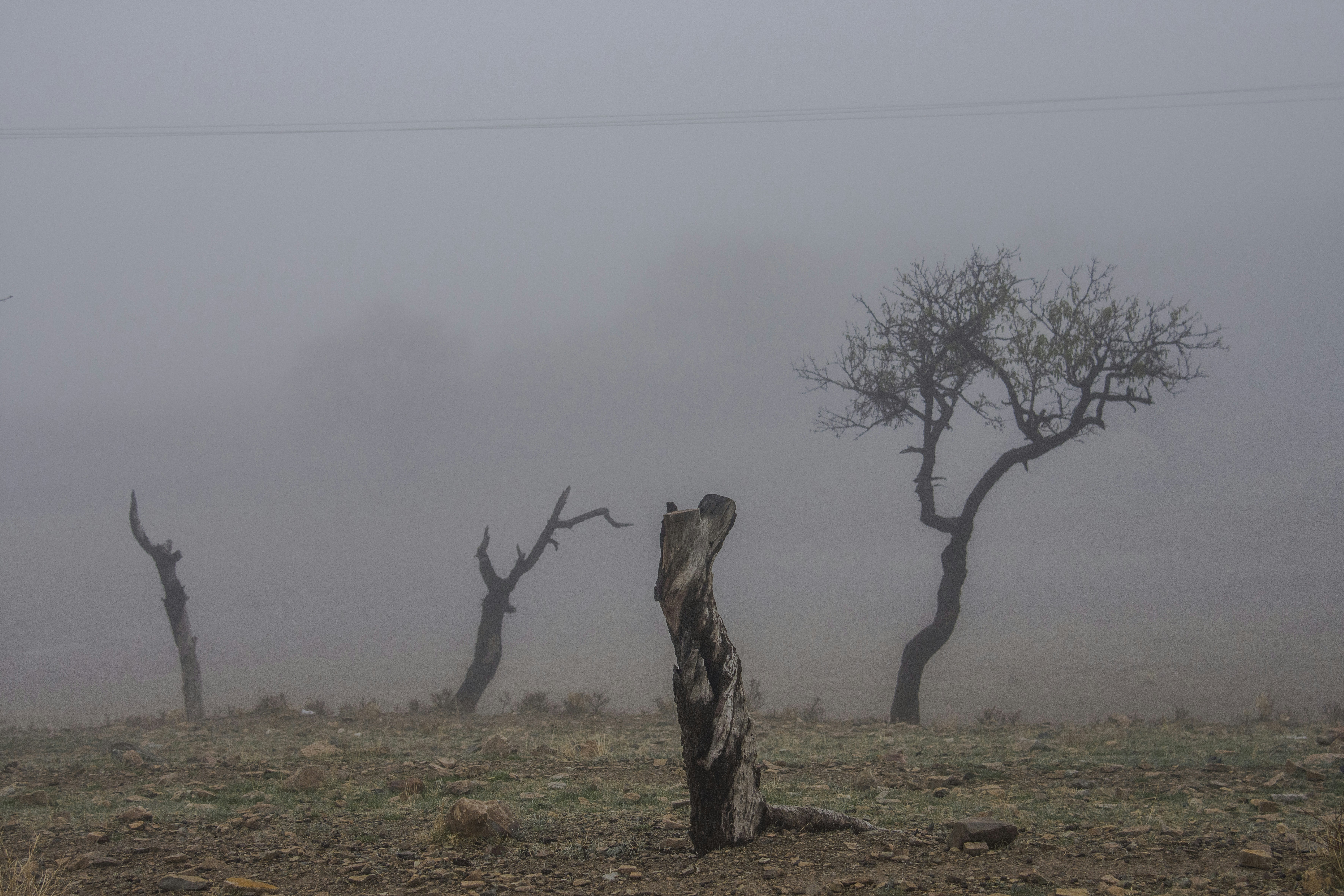 Photo by javad_esmaeili