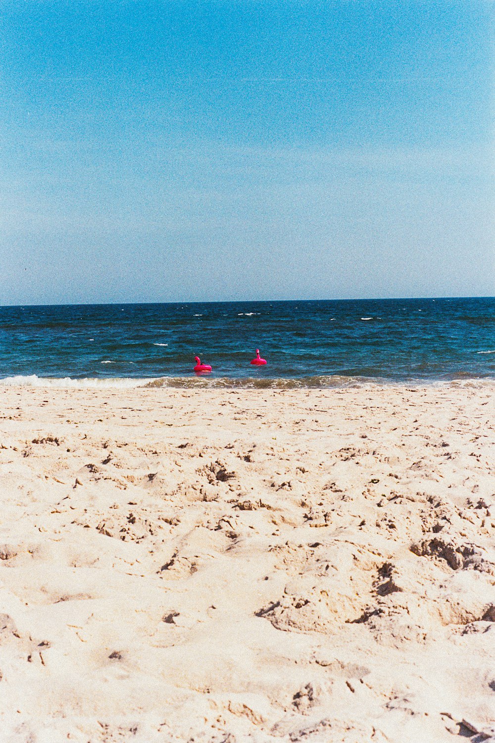 낮 동안 해변에 서 있는 빨간 셔츠를 입은 사람