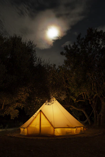 A bubble tent nestled in a forest clearing, glowing softly at dusk.