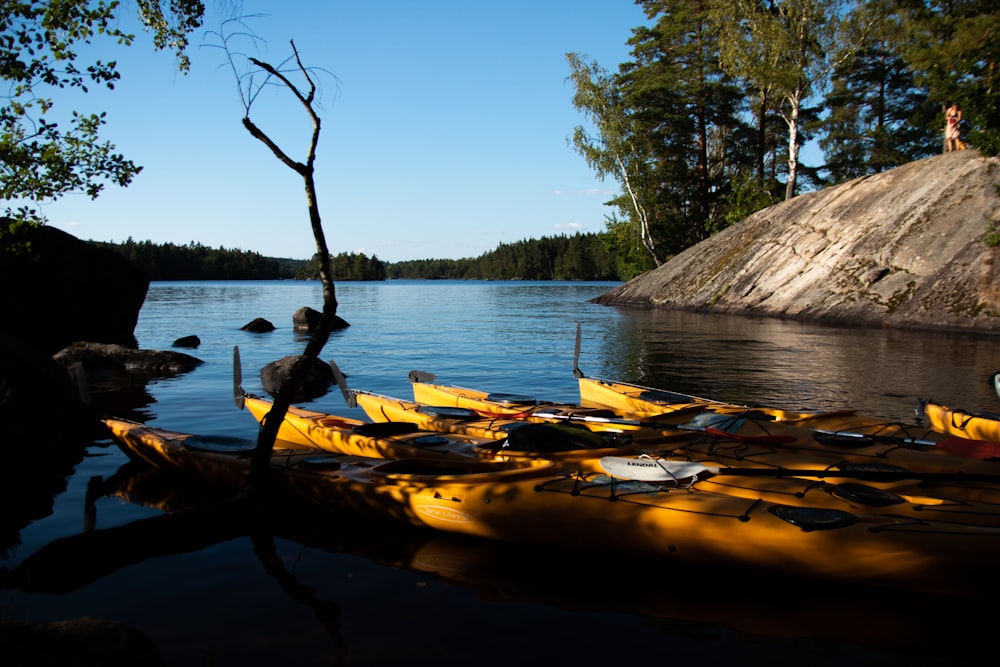 brown wooden boat on water during daytime