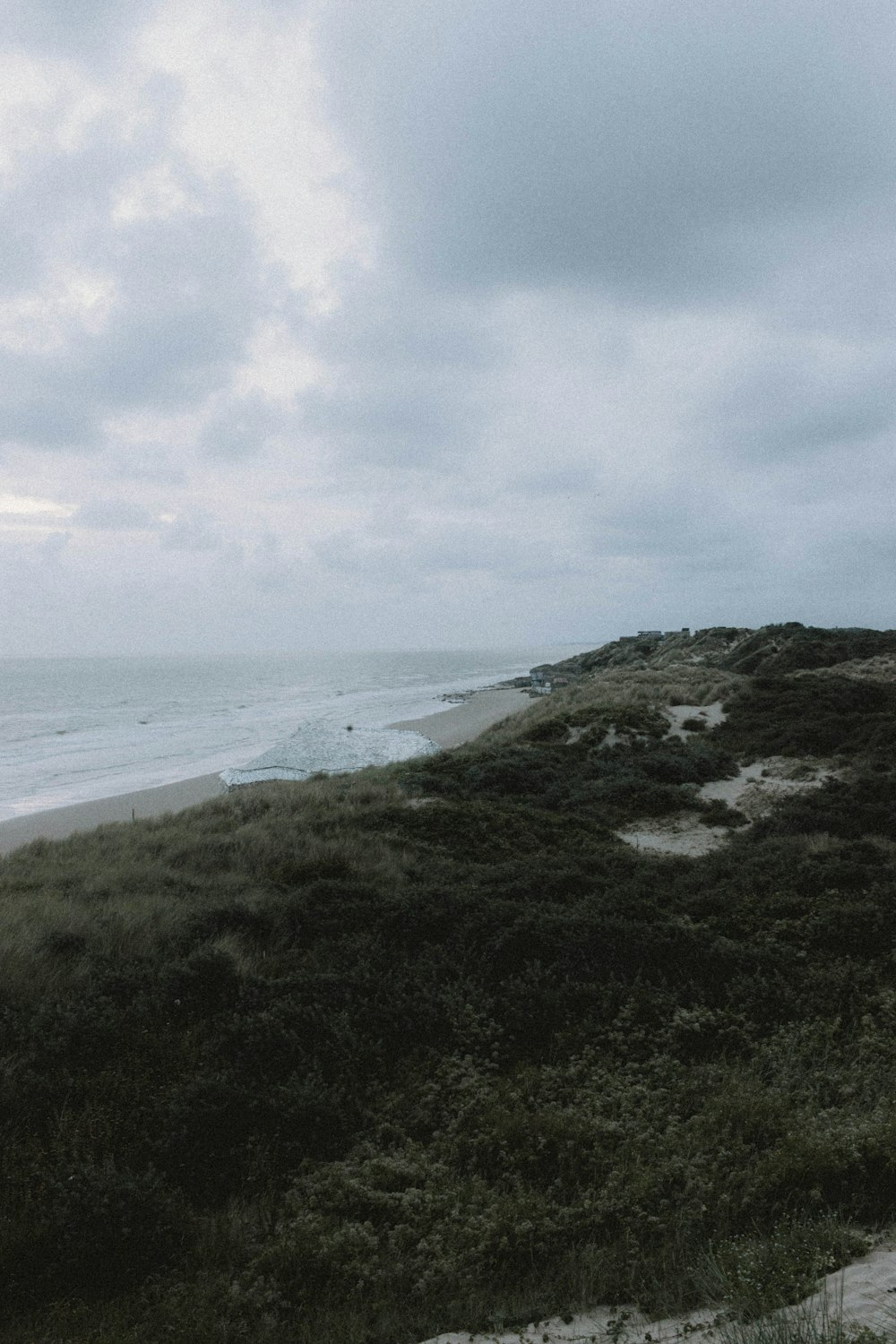 green grass field near sea under white clouds during daytime