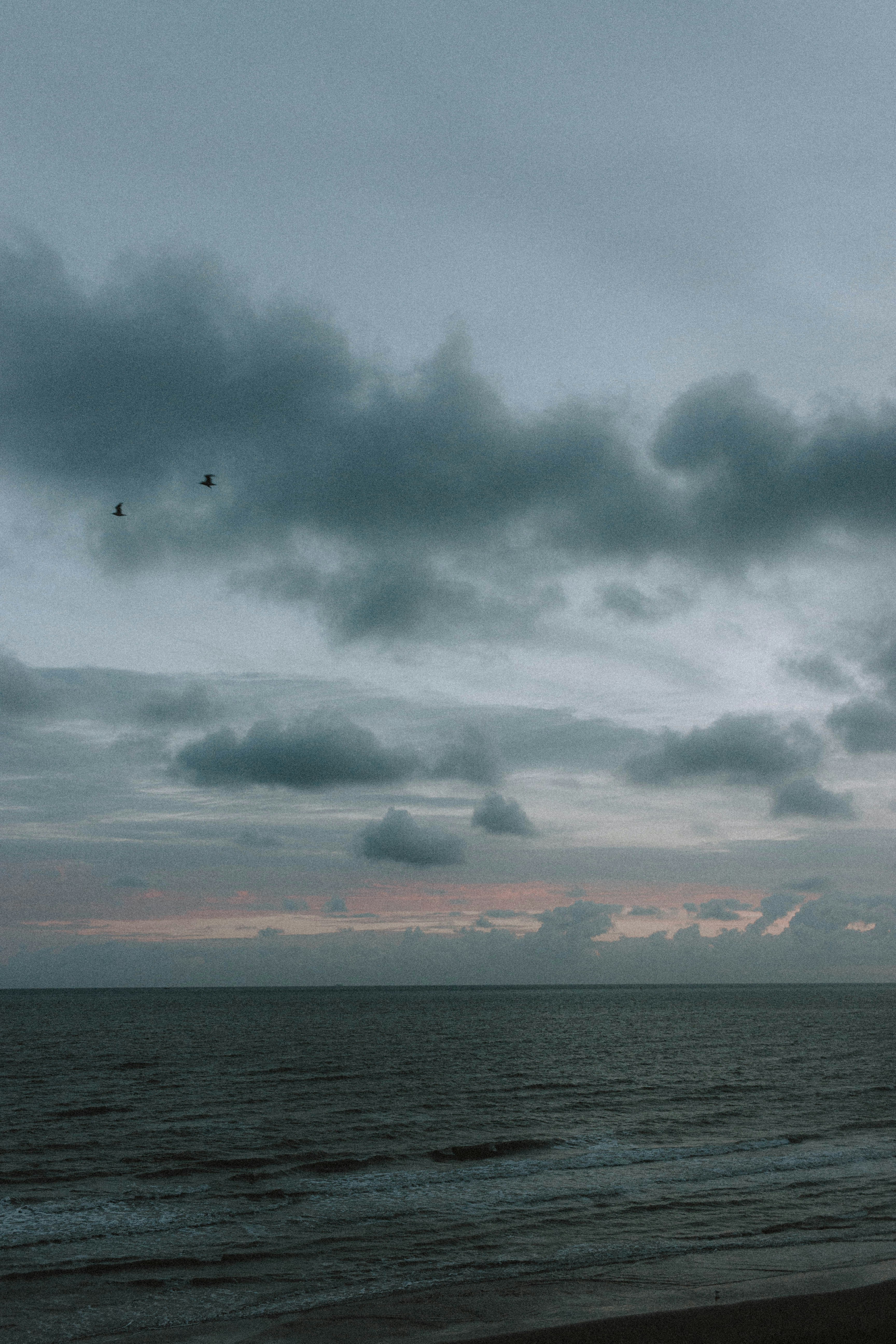 Photo by matreding