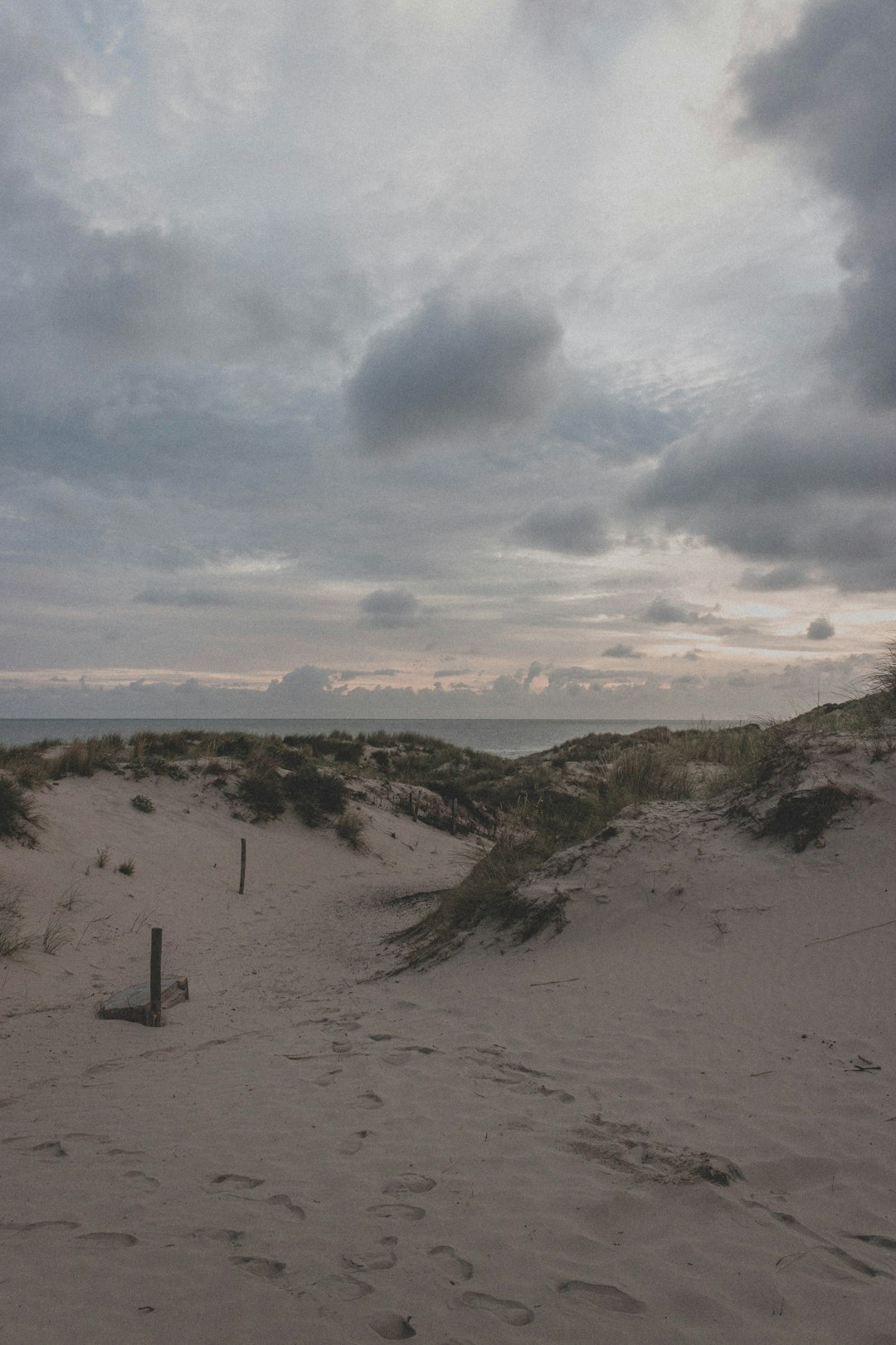 people walking on brown sand under white clouds and blue sky during daytime