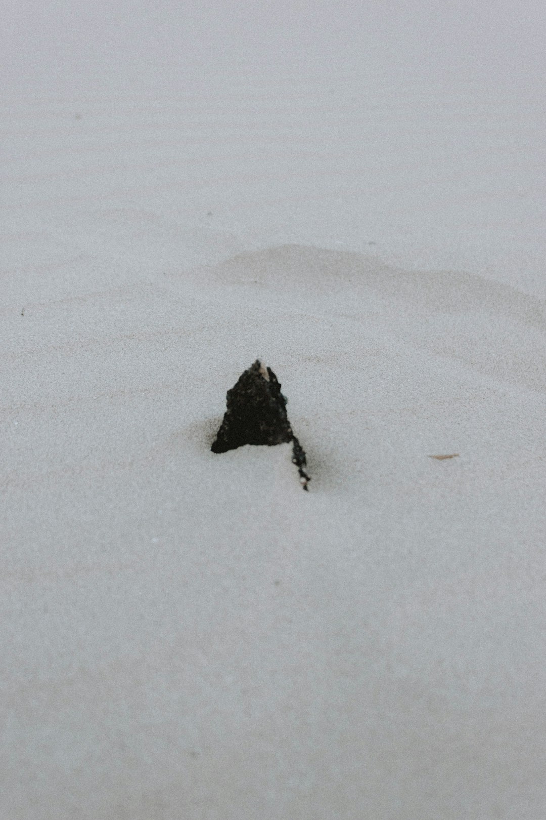 black rock on white snow