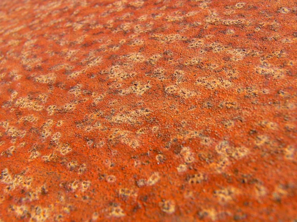 brown and white concrete floor