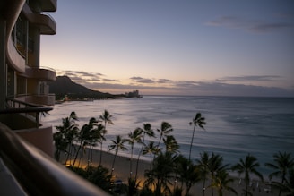 A beautiful beach sunset with palm trees.