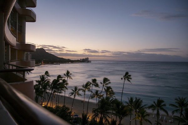 A beautiful, serene sunset over the ocean, with palm trees lining a sandy beach. The silhouette of a mountain can be seen in the distance, with a touch of light coming from a nearby hotel building.