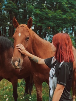 A person with red hair is gently touching the face of a brown horse. The background features lush green trees, creating a serene outdoor setting. The person's tattooed arm is visible, and they are wearing a black t-shirt.