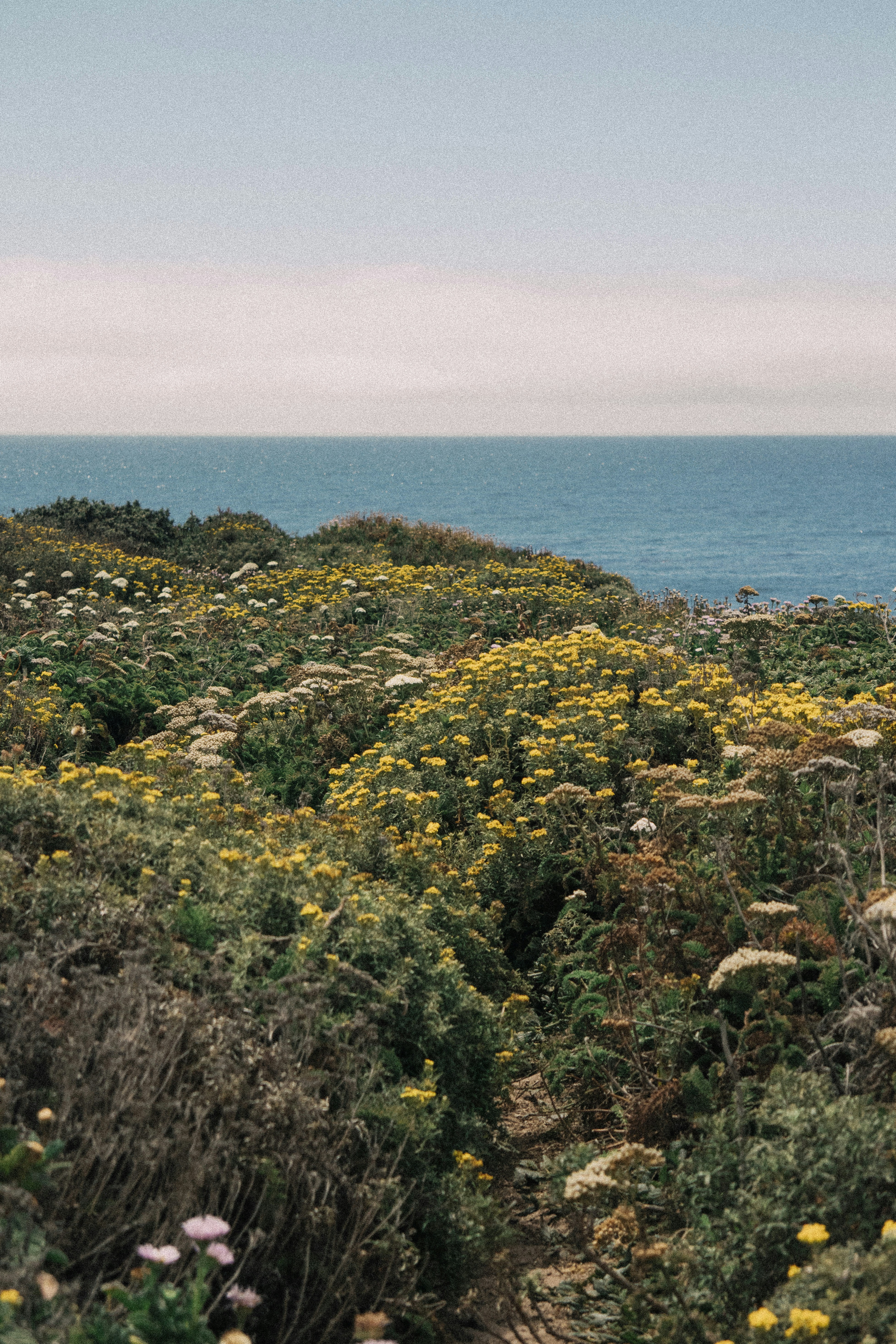 Photo by lowmurmer