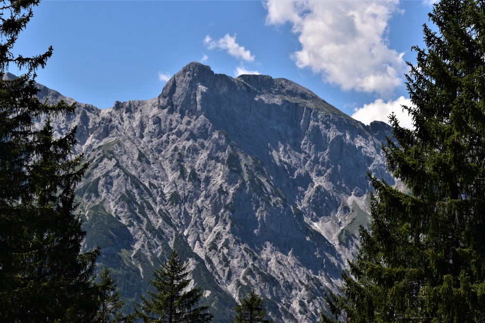 green trees near mountain under blue sky during daytime