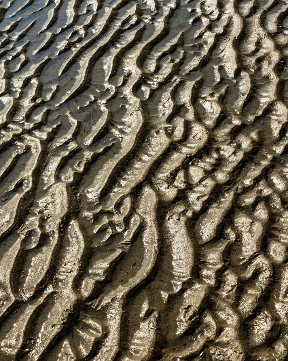 brown sand with water droplets