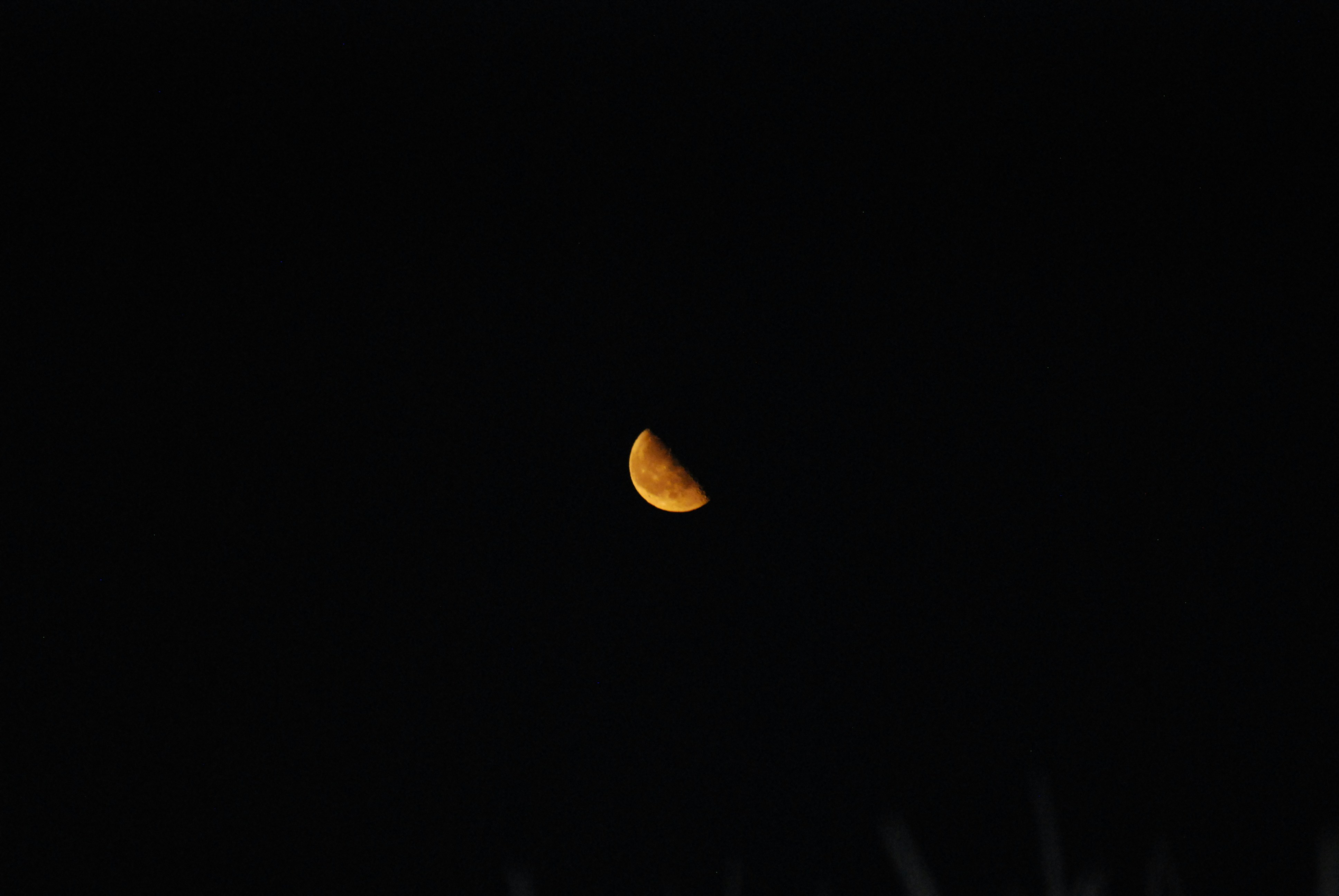 brown leaf on black background kosovo teams background