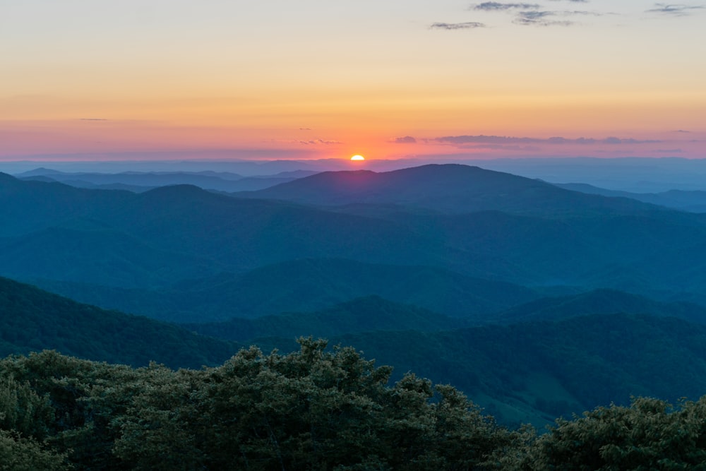 夕暮れ時の山の緑の木々