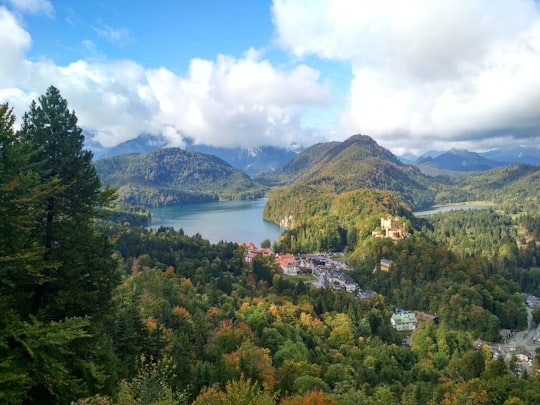 green trees near body of water under white clouds during daytime in Hohenschwangau Castle Germany