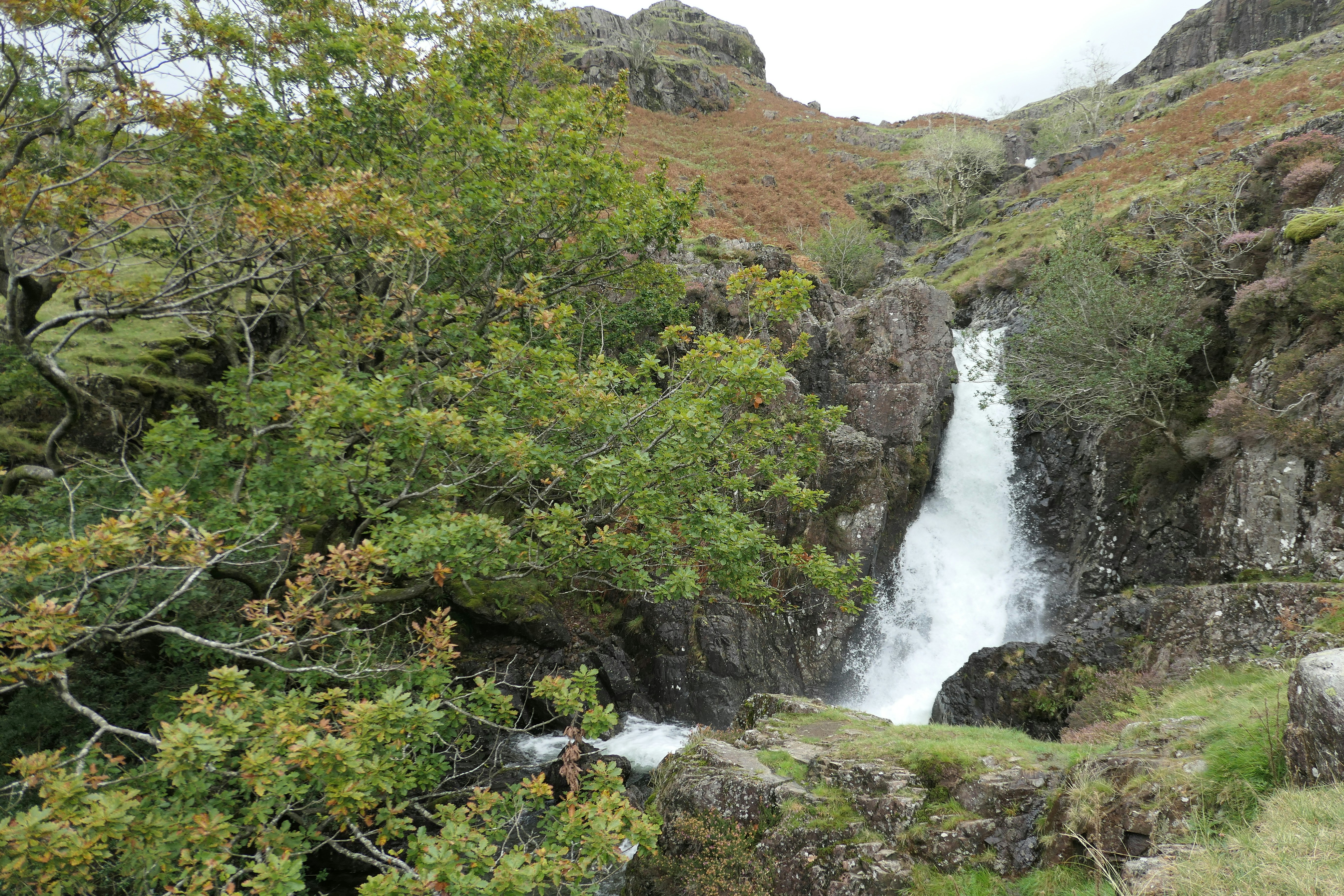 Photo by bill_eccles