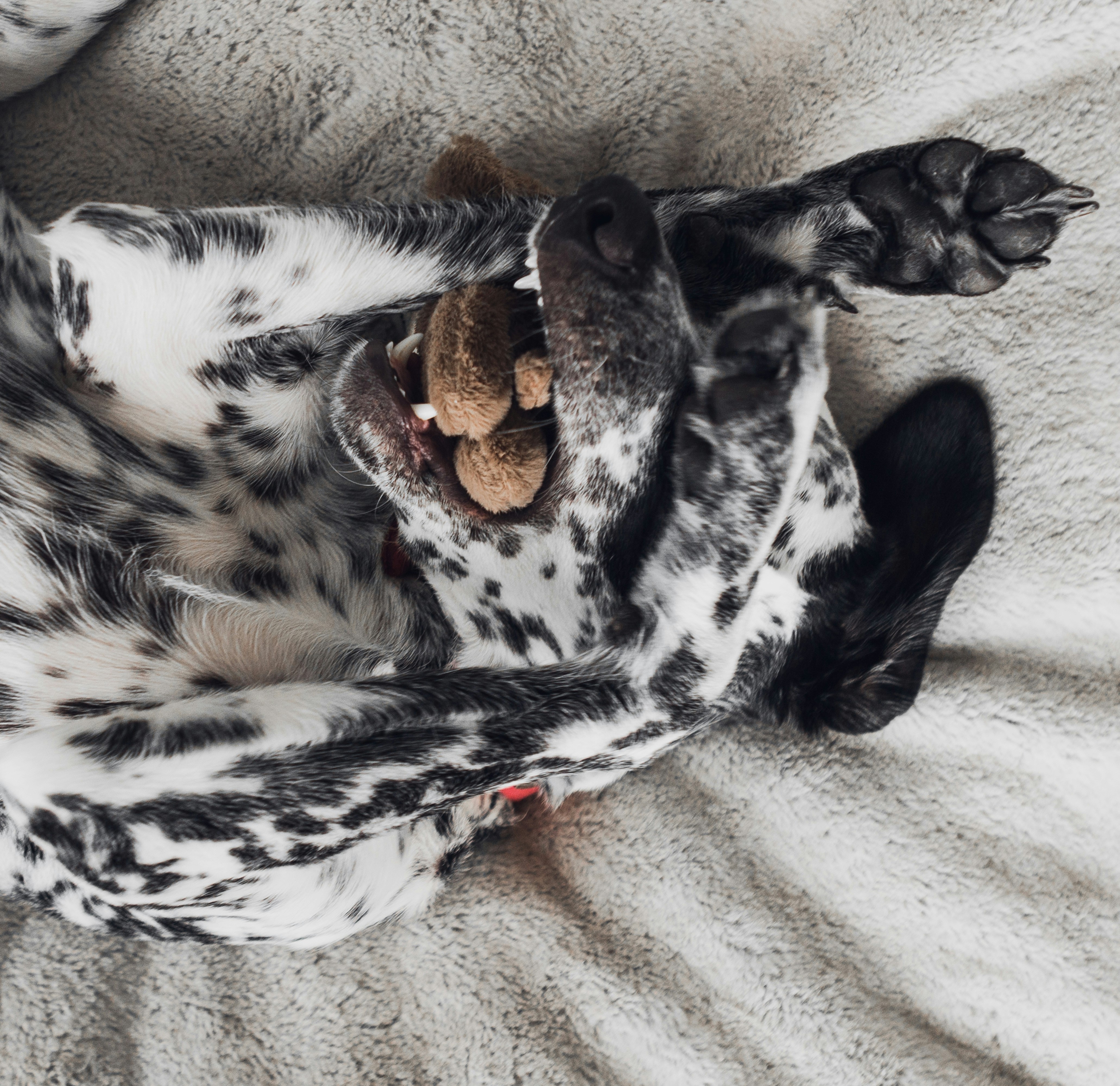 Photo by jpeg_therapy