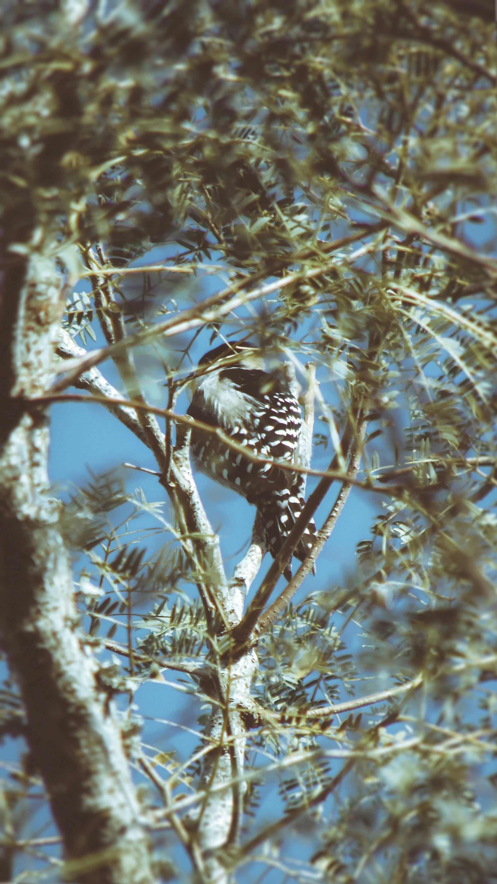 Photo by lucasvphotos