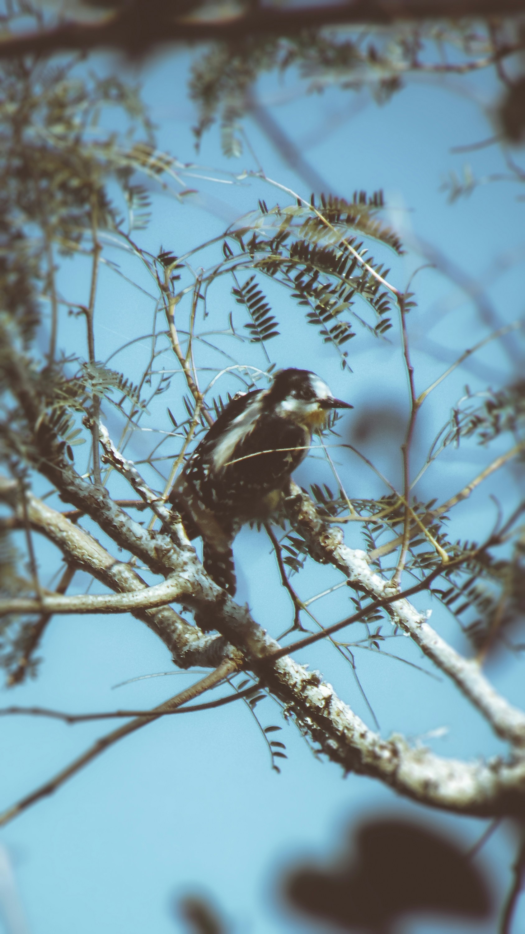 Photo by lucasvphotos