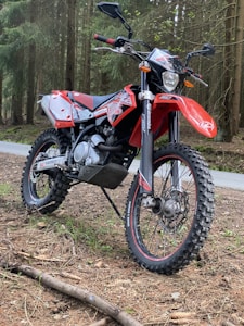 A red and black off-road motorcycle is parked on a forest floor, surrounded by tall trees. The bike features rugged tires, a sturdy frame, and is equipped with headlights and mirrors. The natural setting includes a mixture of dirt, grass, and scattered twigs, with a paved road visible in the background.