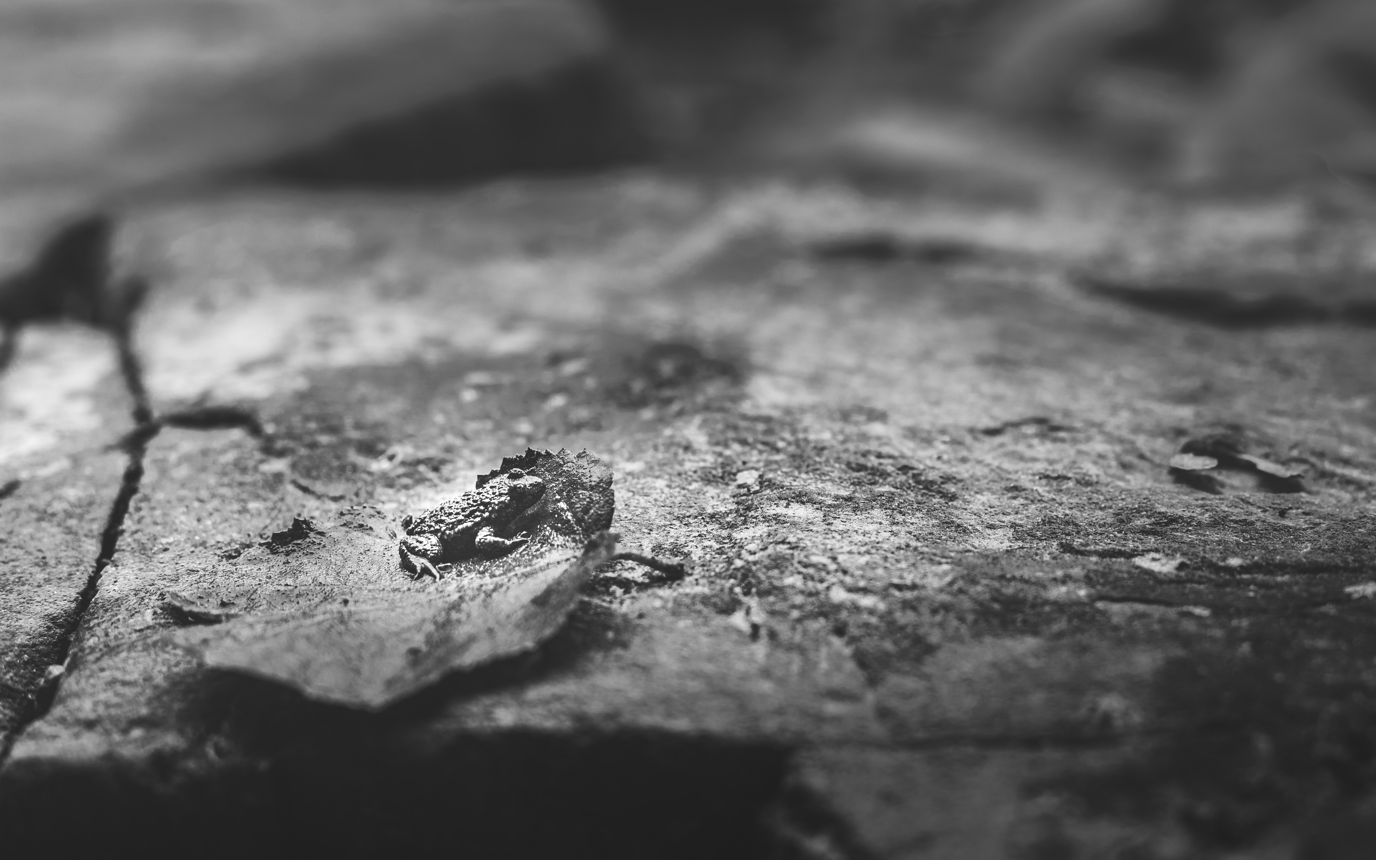 Photo by marekpiwnicki