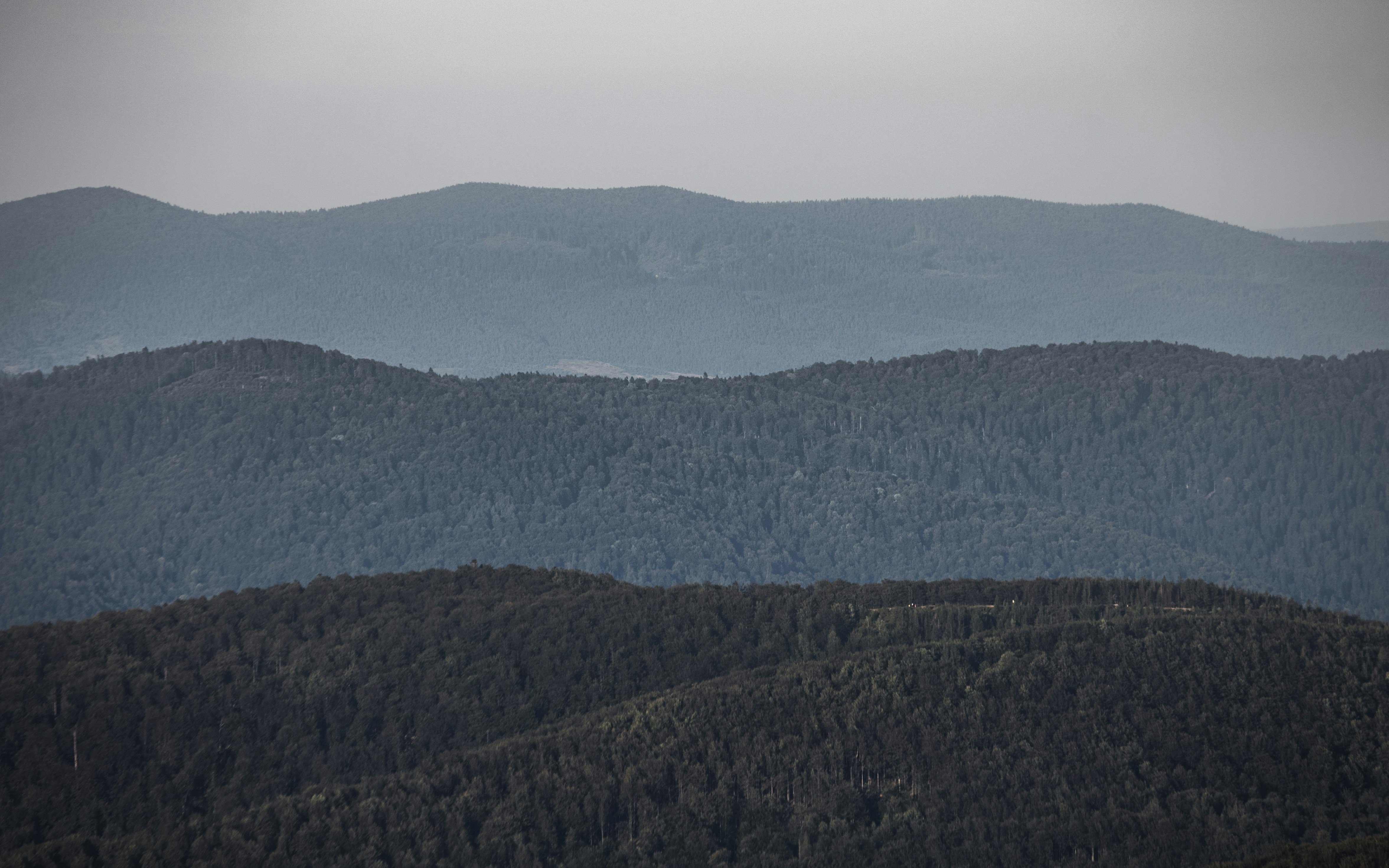 Photo by marekpiwnicki