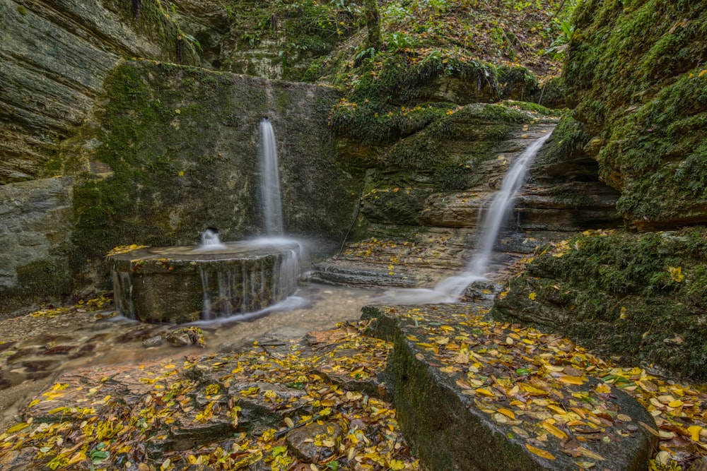 water falls in the middle of the forest