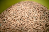brown and gray pebbles in close up photography