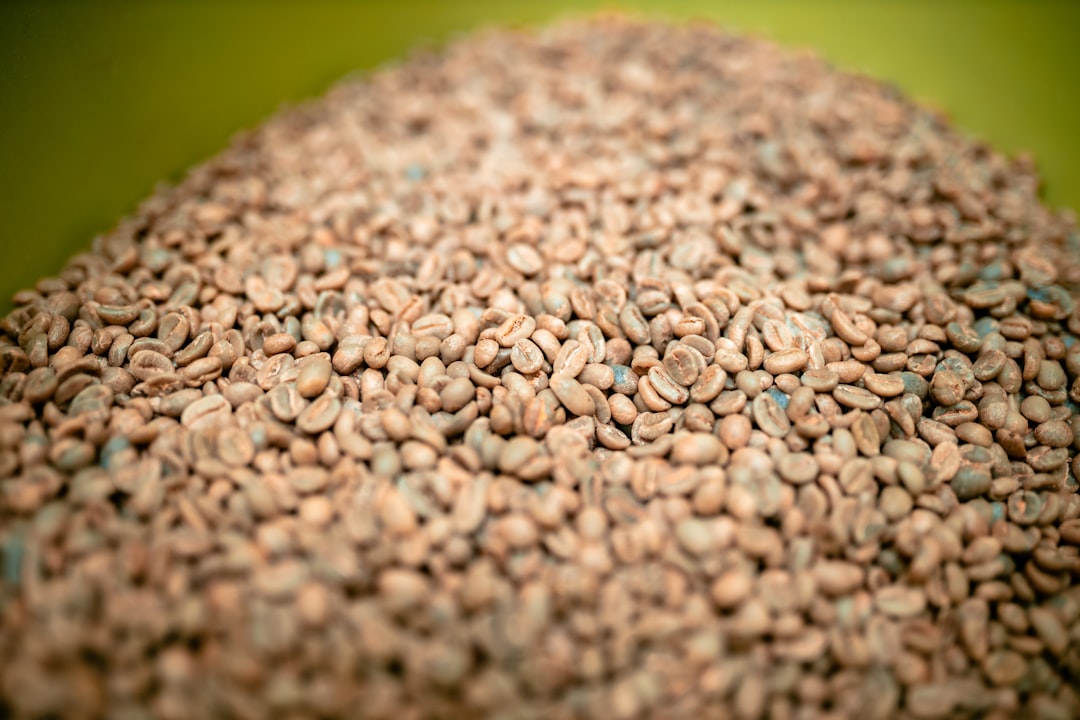 brown and gray pebbles in close up photography