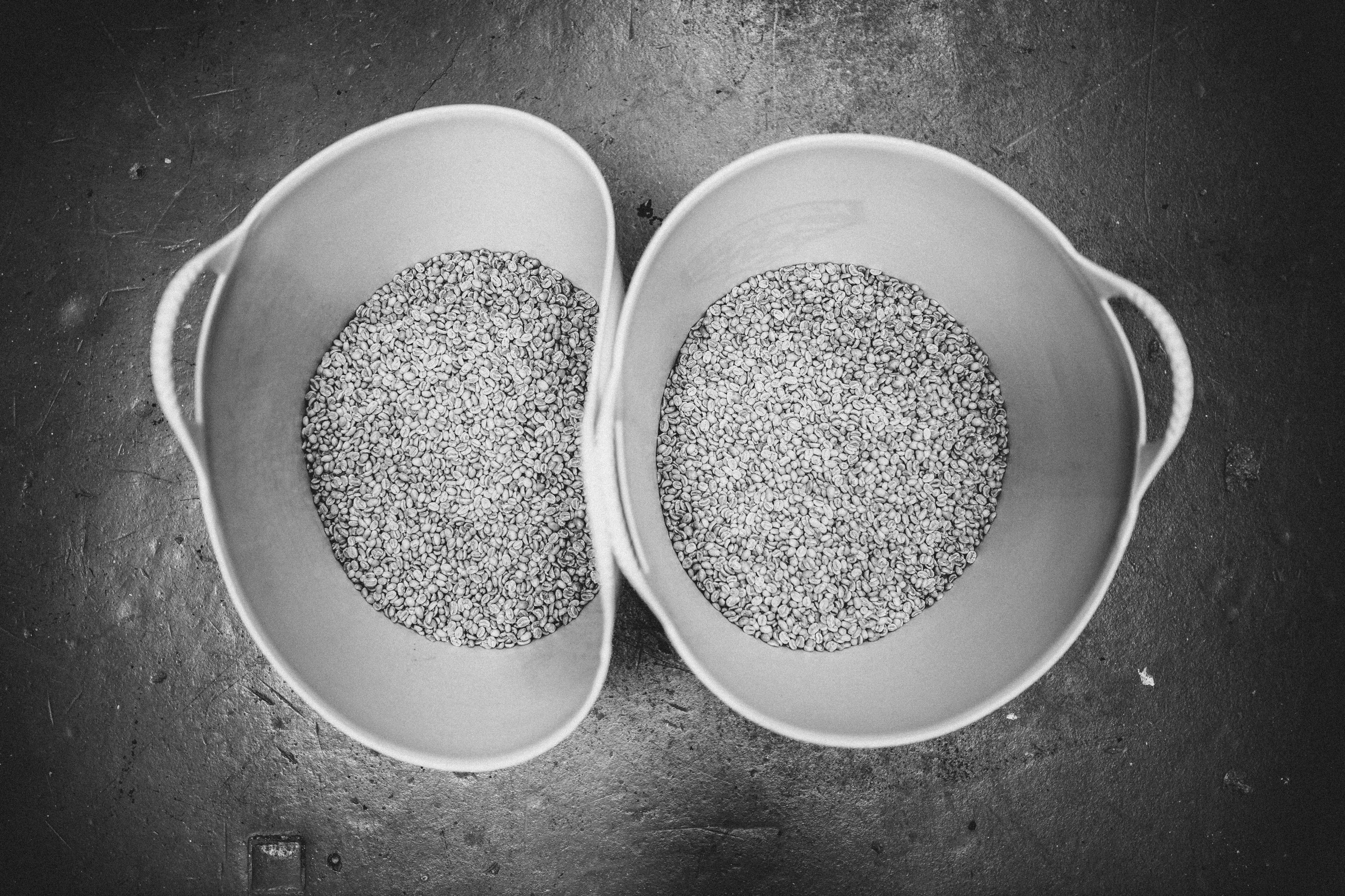 grayscale photo of 2 round ceramic bowls