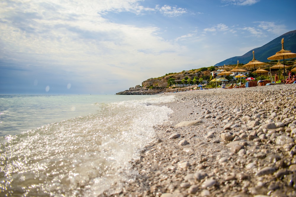 people on beach during daytime