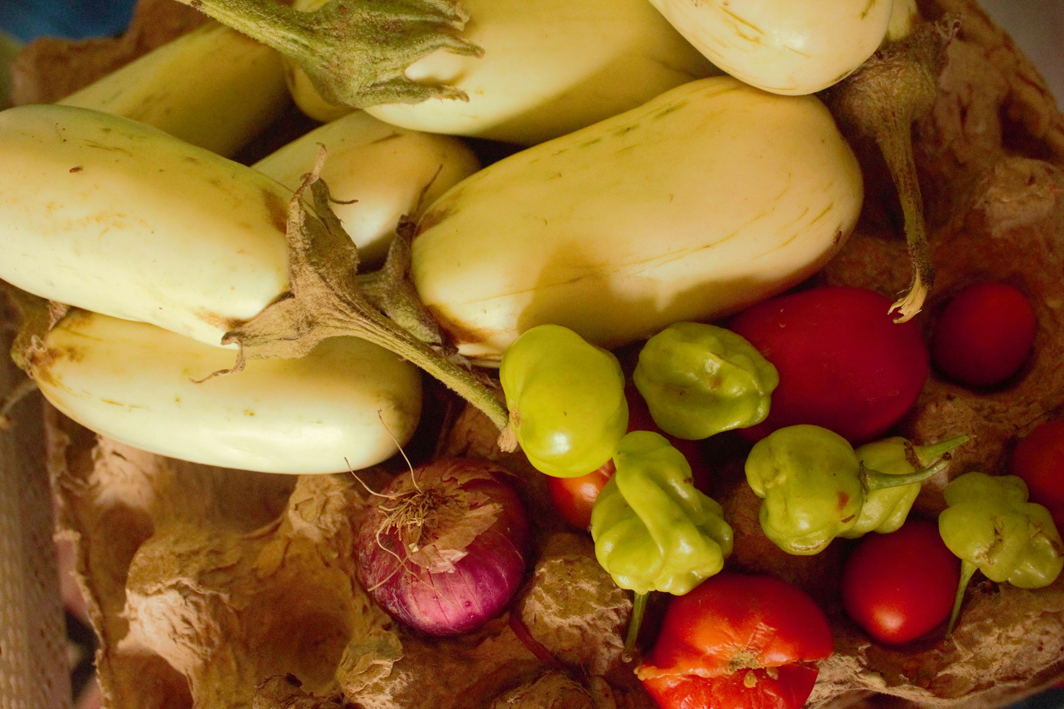Melanzane fresche di montagna
