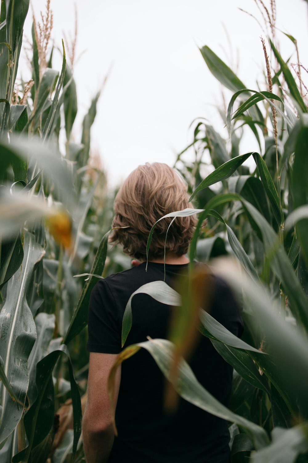 woman in black shirt standing on green grass field during daytime