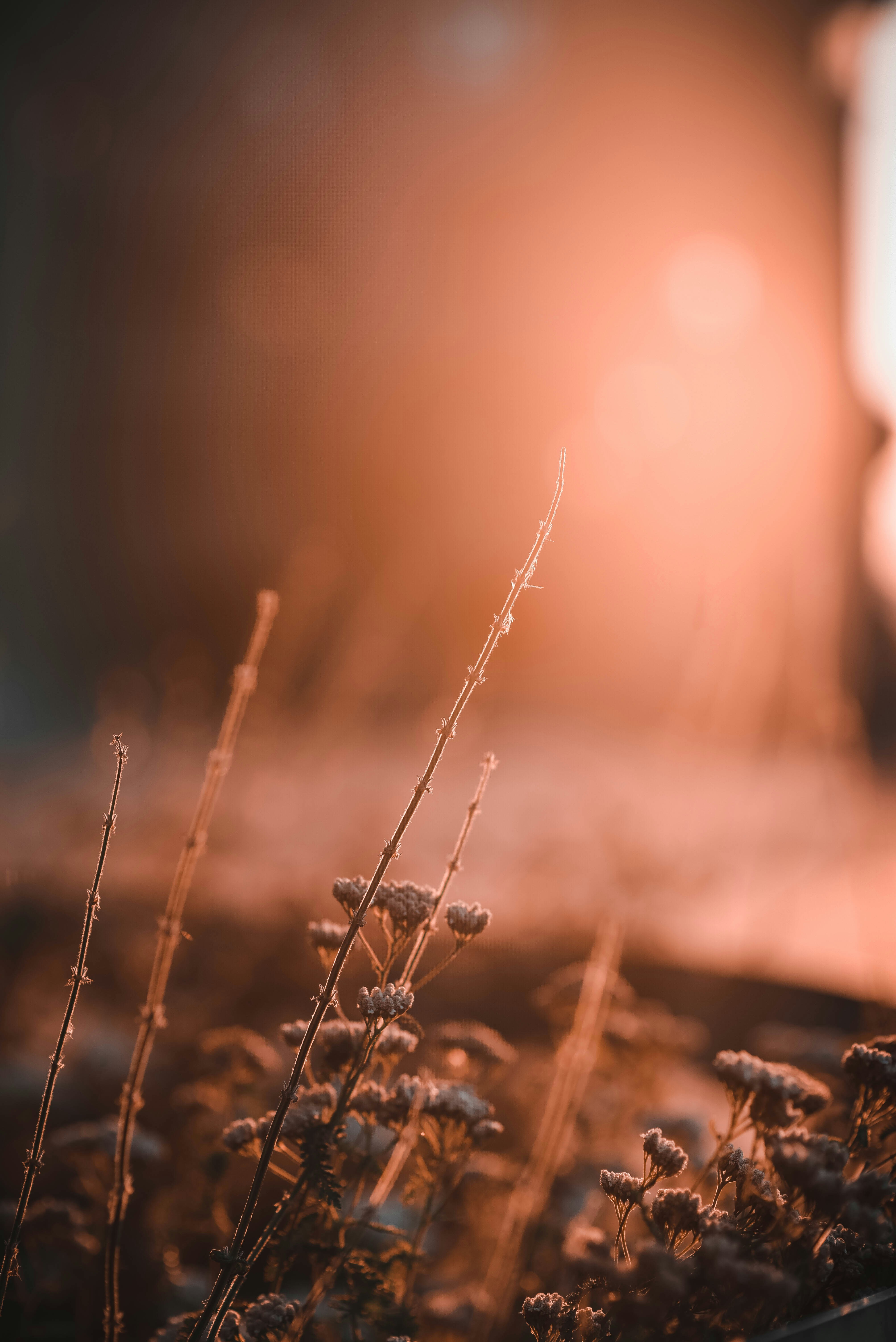 Photo by sven_pieren