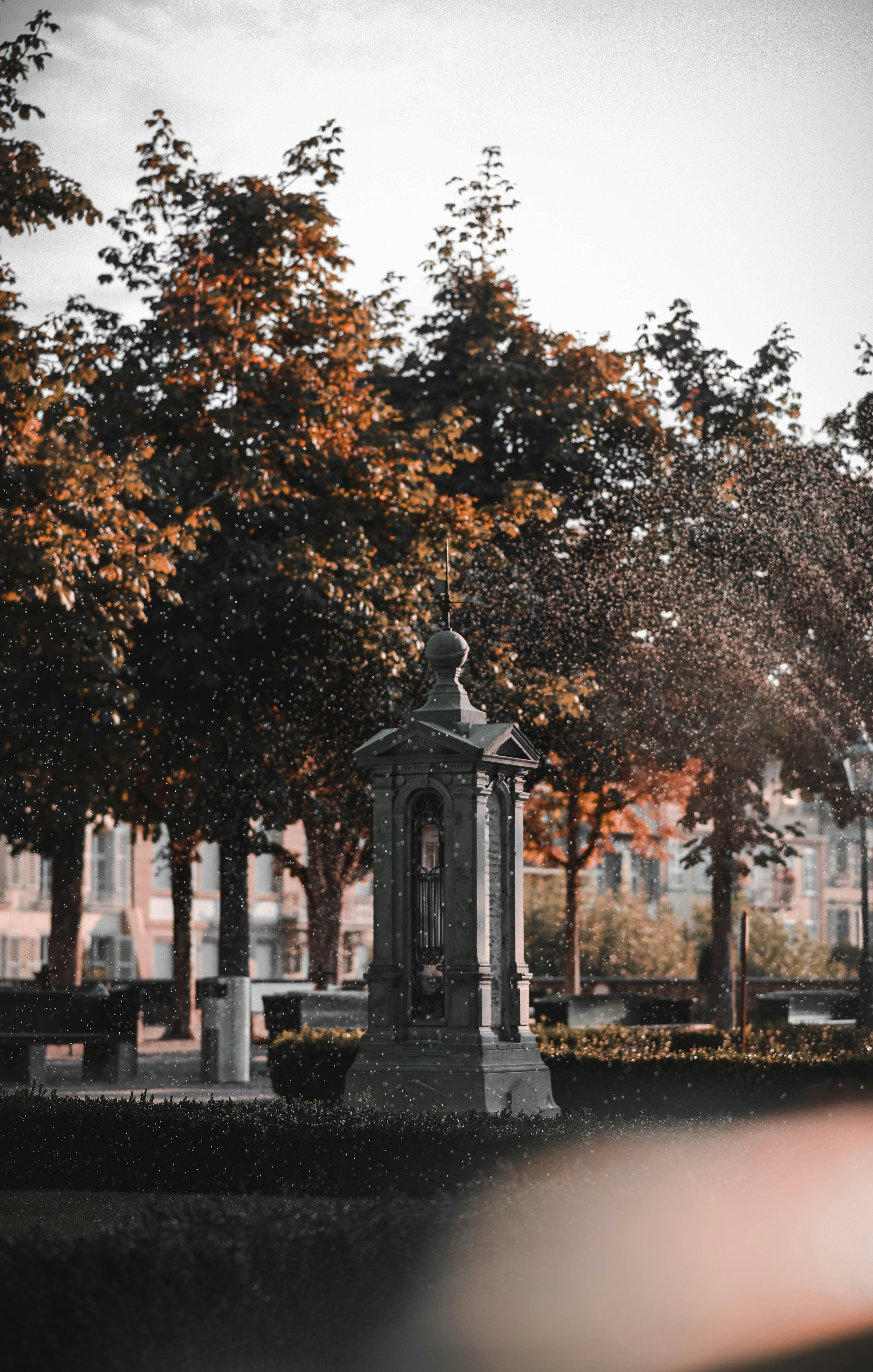 Photo by sven_pieren