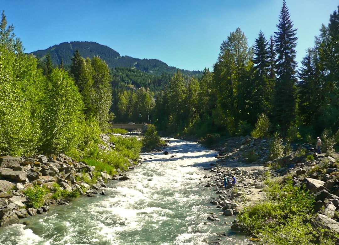 Mountain river photo spot Fitzsimmons Road North Whistler