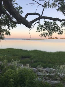 Natural CBD Wellness Products