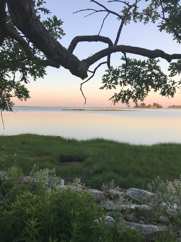 Natural CBD Wellness Products