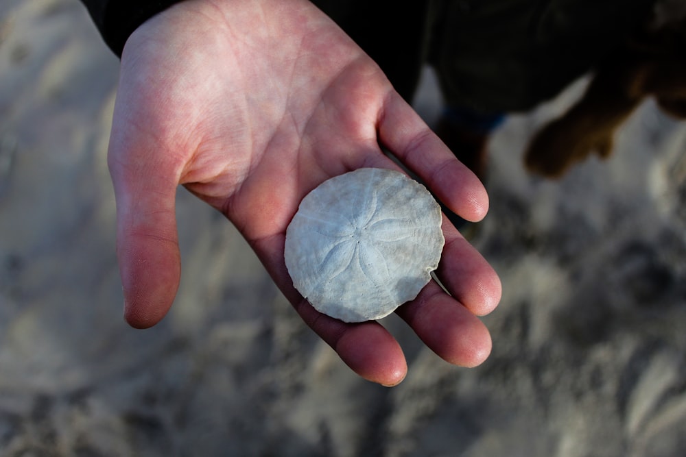 person holding white round ornament