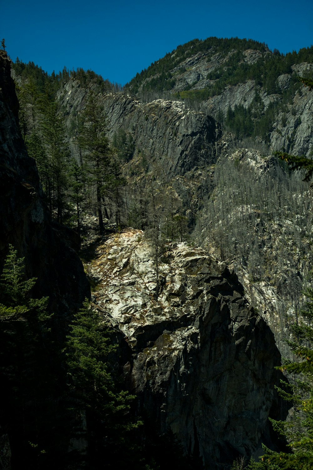 Person in blauer Jacke und blauer Jeans, die tagsüber auf dem Rocky Mountain steht