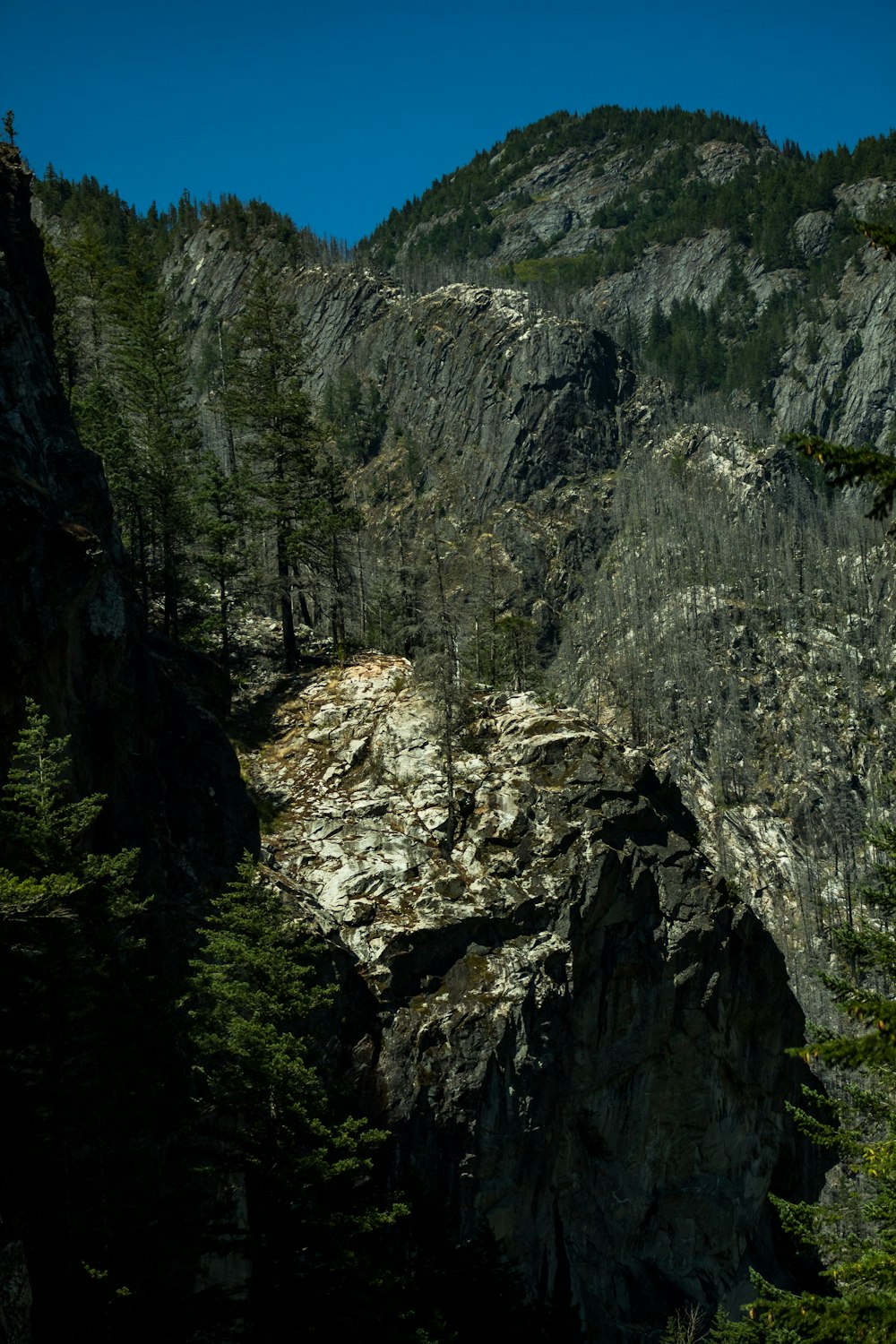 pessoa em jaqueta azul e jeans azuis em pé na montanha rochosa durante o dia